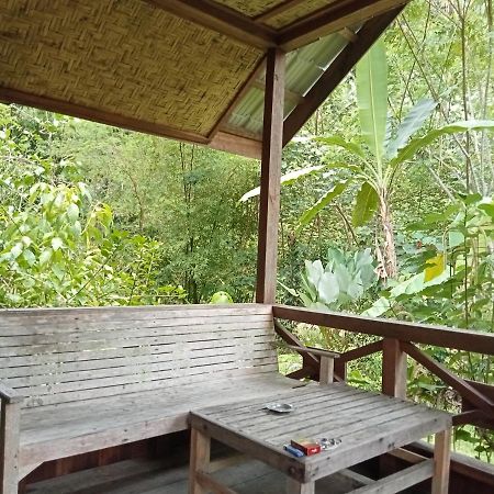 Thousand Hills Ketambe ,Room And Treking Lhokuenam Luaran gambar