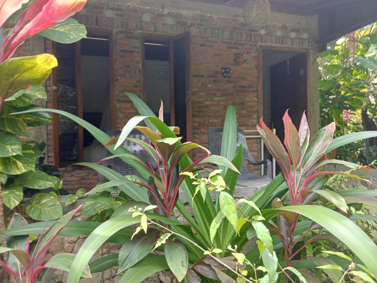 Thousand Hills Ketambe ,Room And Treking Lhokuenam Luaran gambar
