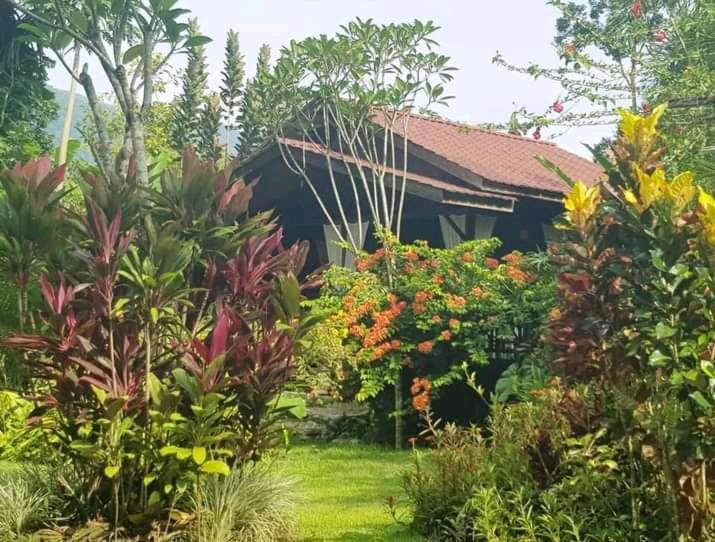 Thousand Hills Ketambe ,Room And Treking Lhokuenam Luaran gambar