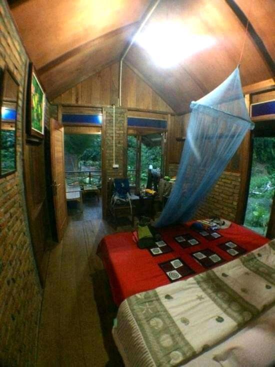 Thousand Hills Ketambe ,Room And Treking Lhokuenam Luaran gambar