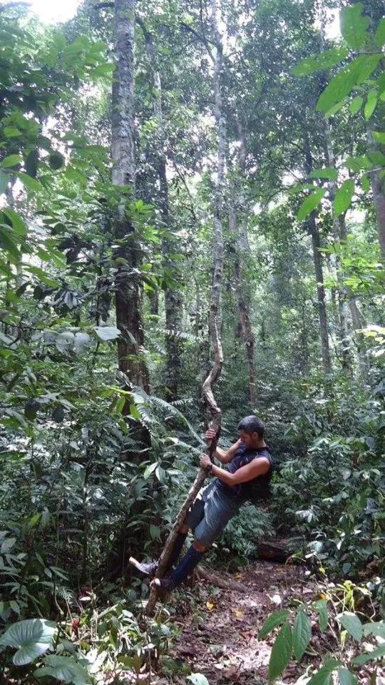 Thousand Hills Ketambe ,Room And Treking Lhokuenam Luaran gambar